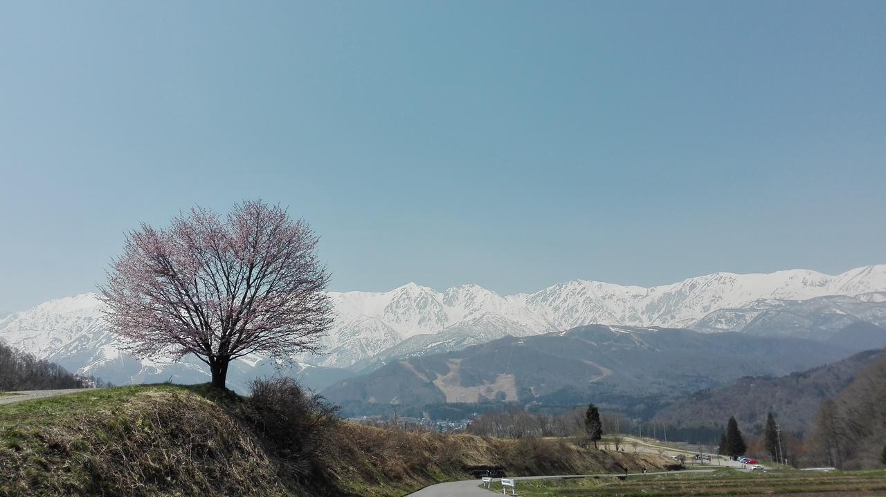 Pension Blue Hakuba Exterior photo